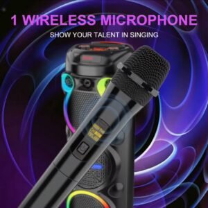 Microphone Speaker